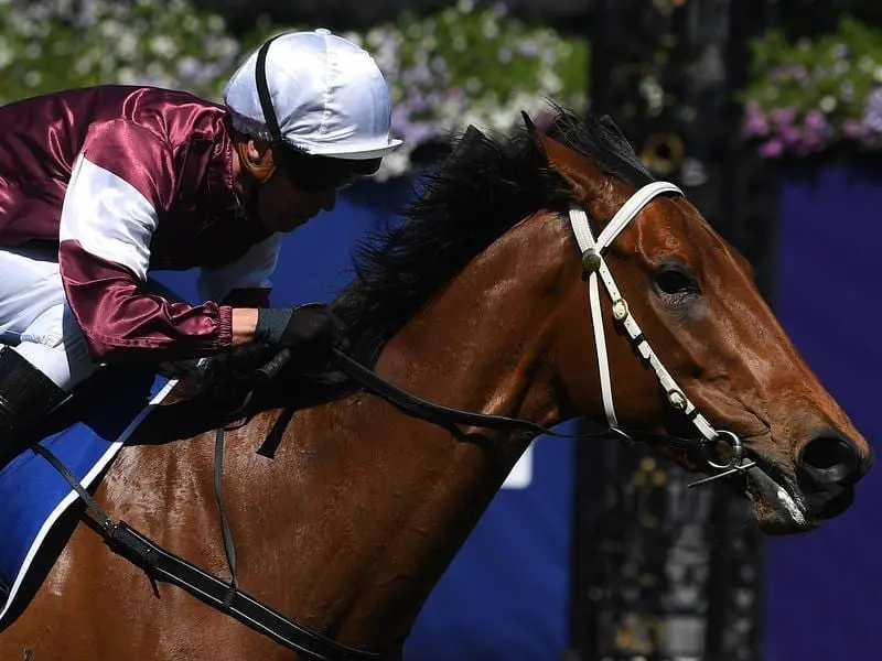 Eckstein wins at Flemington.