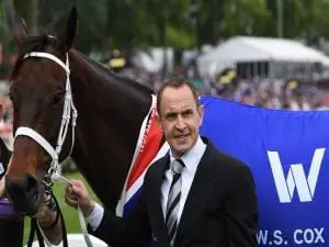 Talks of Winx retirement can wait