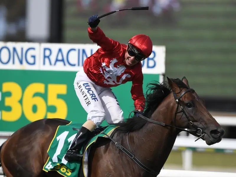 Runaway wins the Geelong Cup.