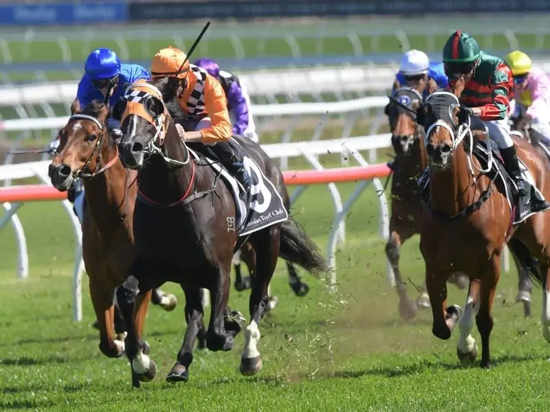 Ace High (middle) wins the Hill Stakes.