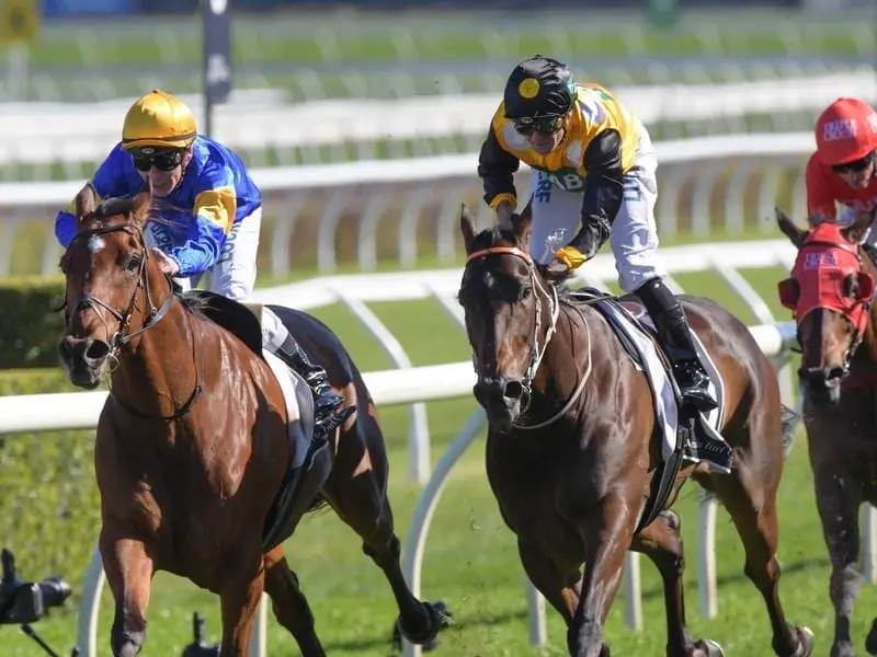 Santa Ana Lane (left) has upstaged a field of Everest contenders with a narrow win at Randwick. Santa Ana Lane (left) wins the Premiere Stakes.