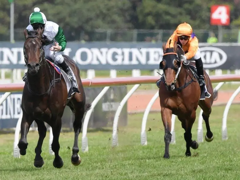 The Gai Waterhouse and Adrian Bott-trained Thinkin' Big (l) is the Spring Champion Stakes favourite. thinkin' big
