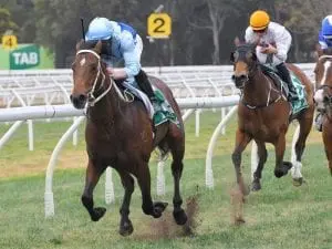 Wet Randwick no worry for Tarka