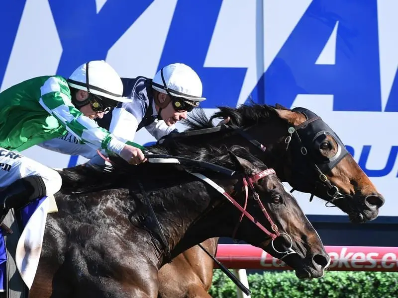 underwood stakes