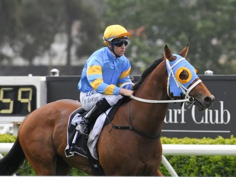 Expensive yearling Adana has responded to a gelding operation to break through for his first win. Adana.