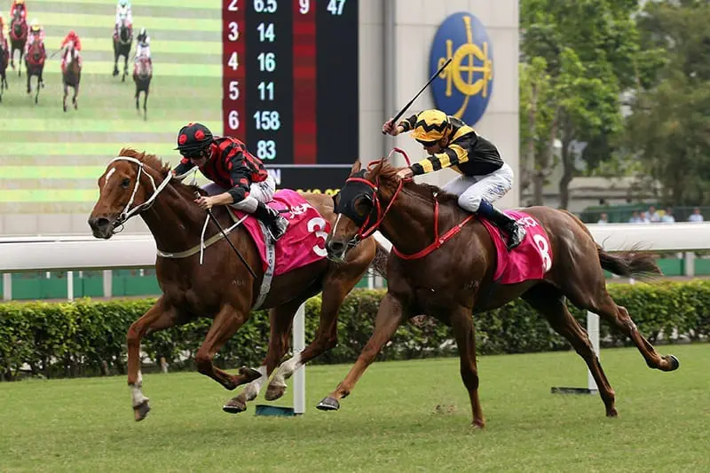 Sha Tin Group 2 Jockey Club Cup