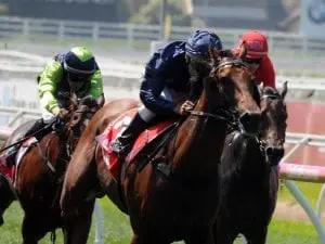 Long Leaf freshened for Coolmore mission