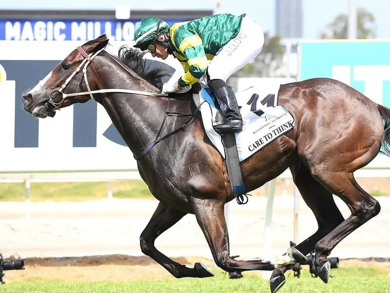 Care To Think has pleased trainer Matt Dunn despite being beaten in a Doomben barrier trial. care to think