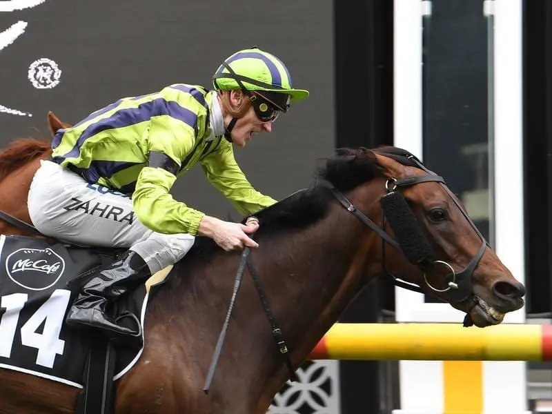 Ventura Storm is one of three Melbourne Cup runners entered to back up in the Zipping Classic. zipping