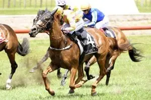 Masetto wins at Tauranga