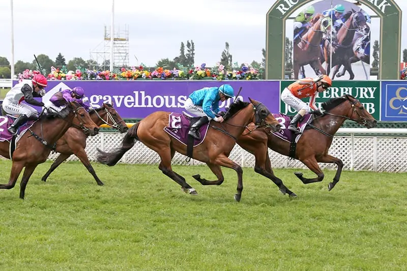 Media Sensation wins the New Zealand Guineas 1000 