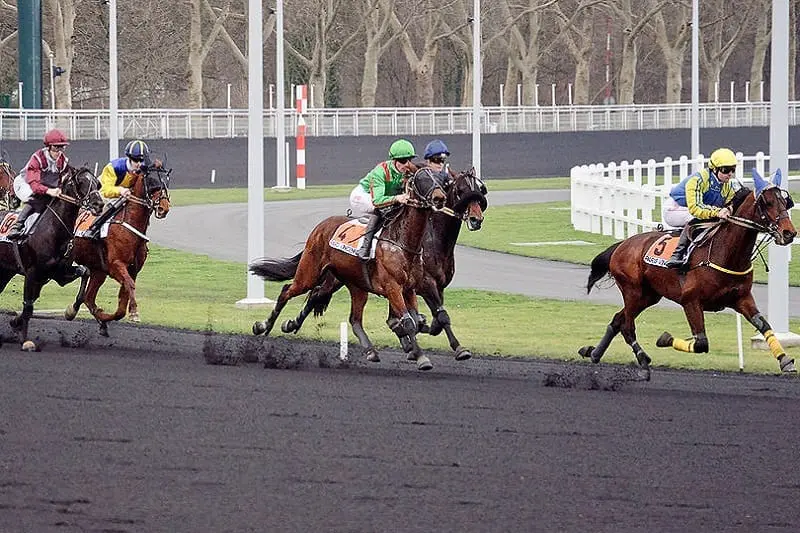 Monte Racing Set To Debut In NZ | New Zealand Racing News