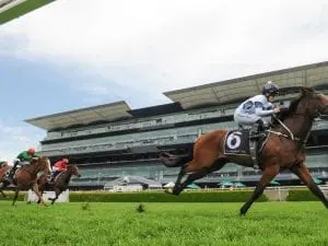 Time's right for another Slipper: Portelli