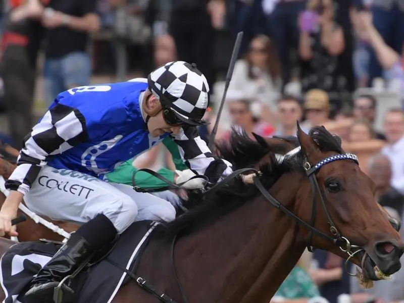 Jason Collett rides Our Century to victory in race 4 at Rosehill