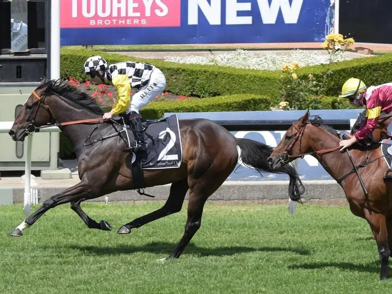 Sky Boy has clocked up a fourth straight victory with a win in the Membership Handicap at Rosehill. Sky Boy