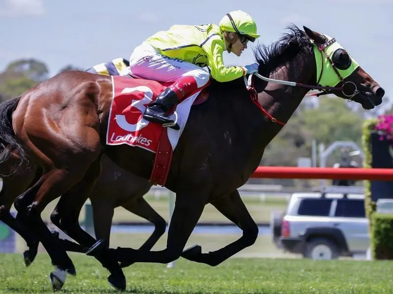 Jockey Craig Williams rides Yogi to win the Sandown Cup