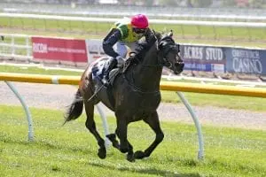 The Chosen One Stablemates on target to swap places
