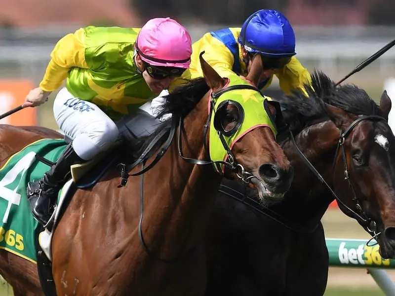 Home Ground (left) wins the Geelong Classic.