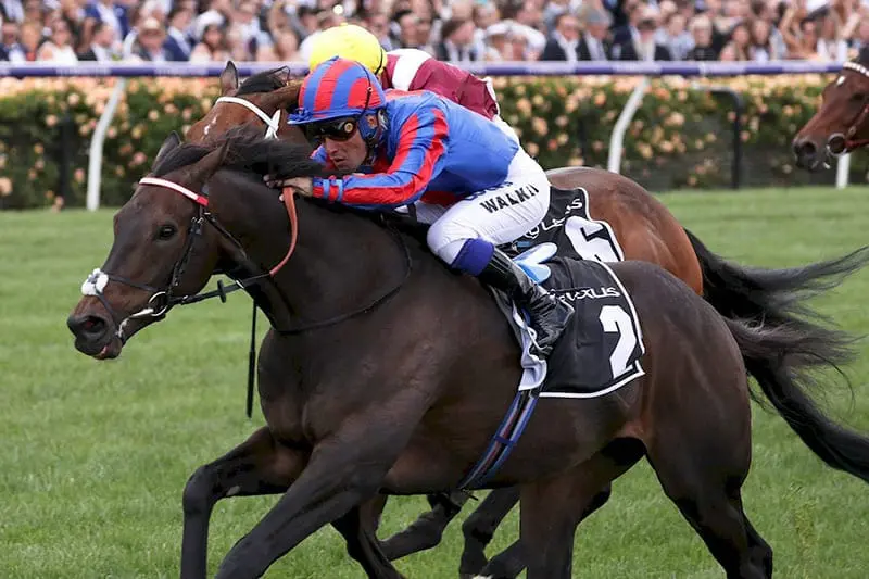 A Prince of Arran Melbourne Cup 2018