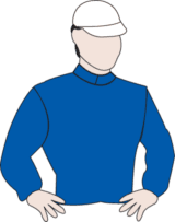 Avilius Melbourne Cup 2017