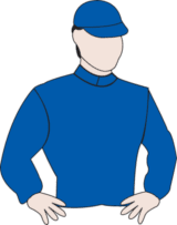 Best Solution Melbourne Cup 2017