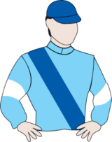 Chestnut Coat Melbourne Cup 2017