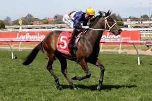 Progressive Savvy Oak ideal Derby prospect