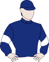 Yucatan Melbourne Cup 2017