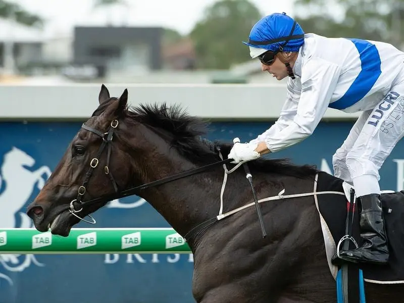 Zoustyle has kept an unbeaten record, beating stablemate Outback Barbie in the Gold Edition Plate. Zoustyle.