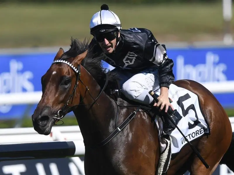 Country Championship winner Victorem can continue trainer Jenny Graham's wnning run in Queensland. victorem