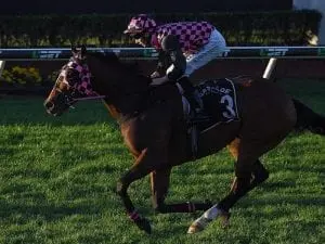 Robert Heathcote a chance with only runner