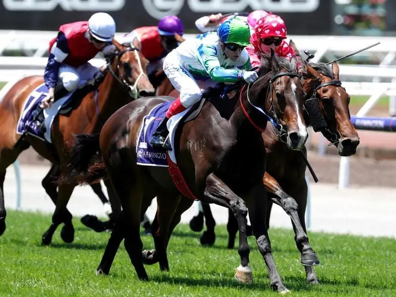 Craig Williams rides My Pendant to victory in race 1 at Flemington