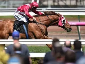 Allen back a winner after 12-month break
