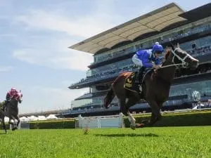 Sexy Eyes is Belle of the Turf at Gosford