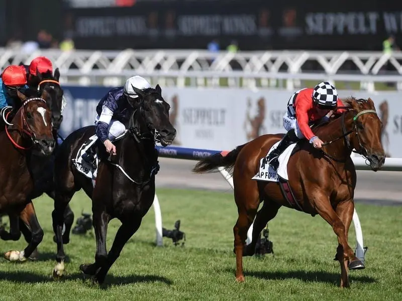 Trap for Fools (r) will try to claim his second Group One victory when he runs in the Kingston Town. trap for fools