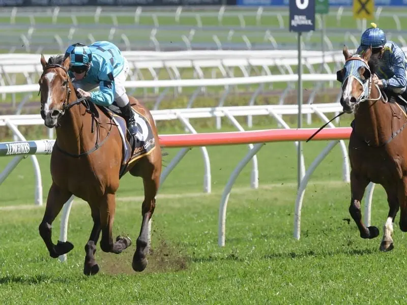 Doubt Defying (l) returns to Randwick where he will try to add the G2 Villiers Stakes to his record. doubt defying