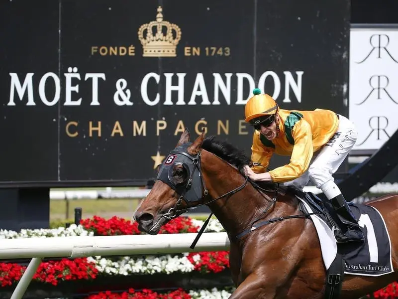 Trainer Kevin Moses is hoping Niccolance can perform well at Rosehill and head to Magic Millions. niccolance