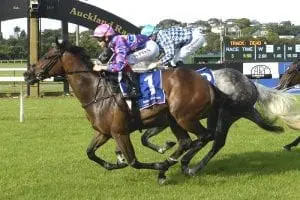 Patience paying dividends for Sacred Day