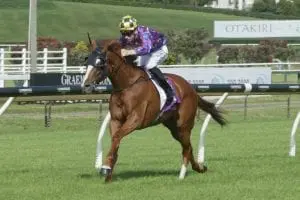 Rising rookie Ryan Elliot bags Ellerslie treble