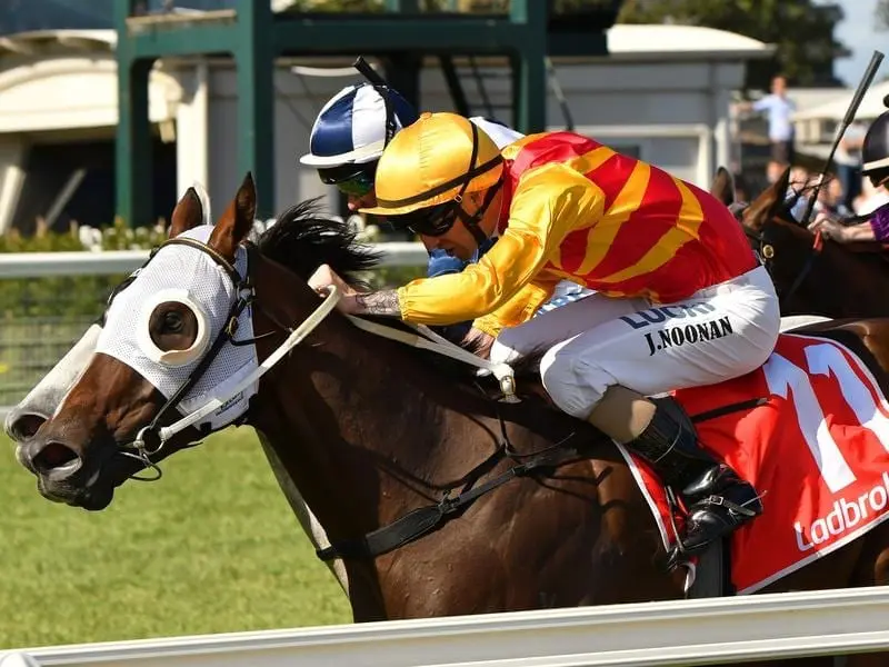 Mastering narrowly justified his favouritism for the Fiona Jamieson Handicap at Caulfield. Mastering