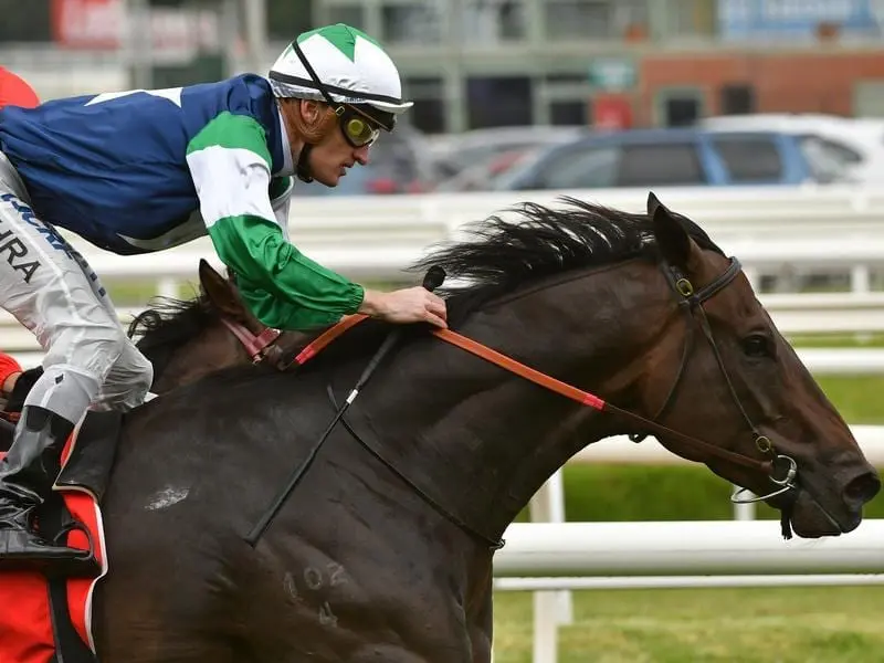 Bold Missile rewarded trainer Henry Dwyer's perseverance with a win at Caulfield under Mark Zahra. Bold Missile