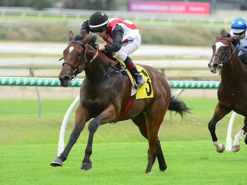Stampe has caused an upset over odds-on favourite Neptune's Spear (right) at Doomben. neptune's spear