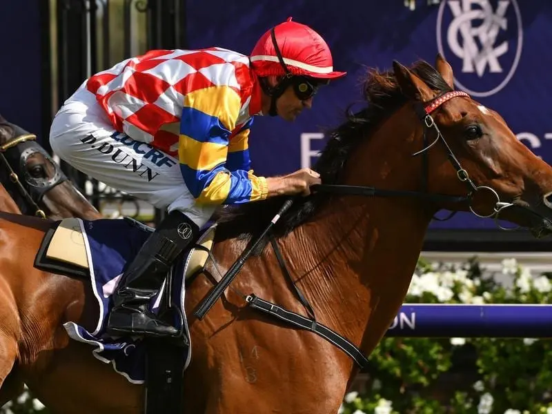 An All-Star Mile campaign is in the offing for Chester Manifold Stakes winner Manolo Blahniq. Manolo Blahniq.