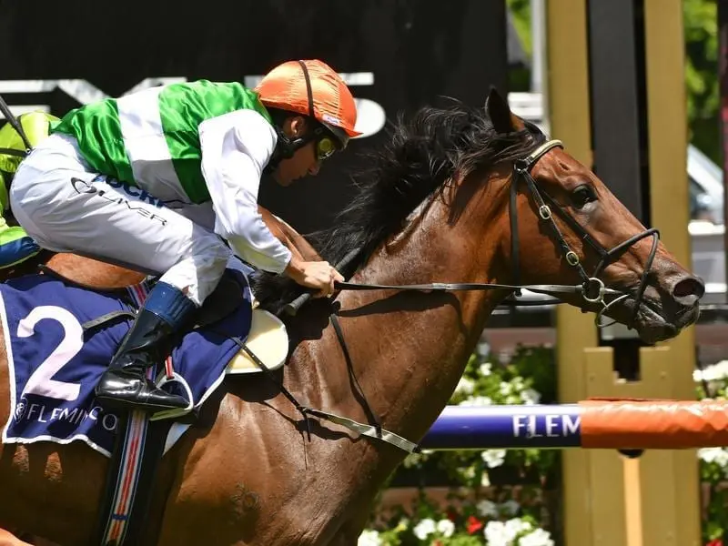Trainer Greg Eurell is aiming O'Tauto at the Australian Guineas after his victory at Flemington. Furlong Bar Handicap