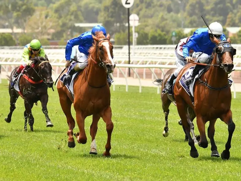 Dwayne Dunn rides Microphone to victory in The Arbour Plate at Flemington. Microphone