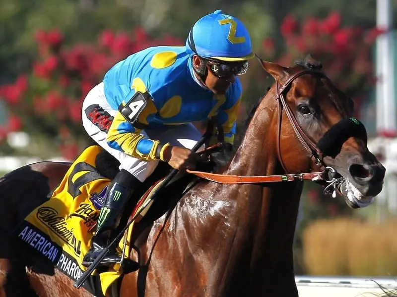 American Pharoah's jockey Victor Espinoza is seeking another opinion on his spinal injury. victor espinoza