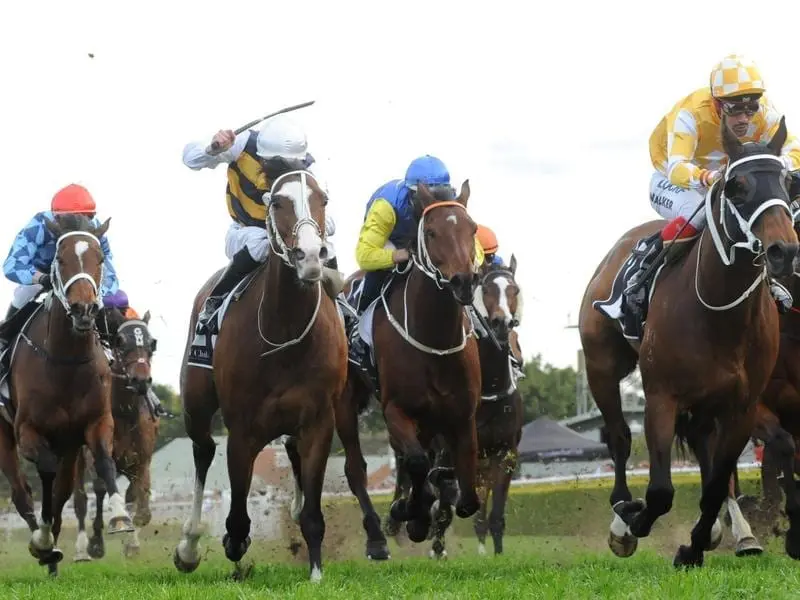 Tom Melbourne (2nd from left) is set to kick off his campaign in the Carrington Stakes at Randwick. tom melbourne