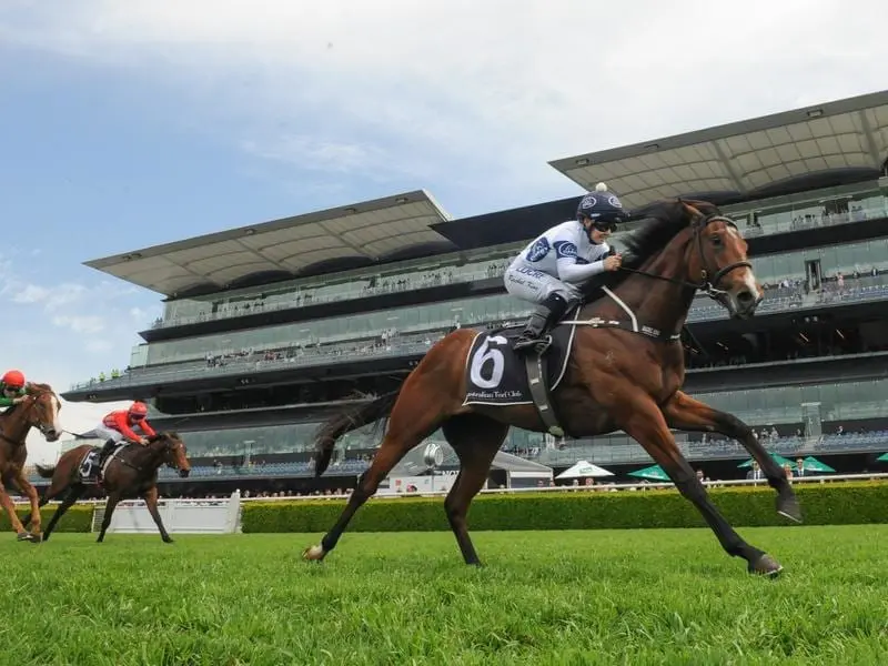 Golden Slipper hopeful Time To Reign is scheduled to step out in a Warwick Farm barrier trial. time to reign