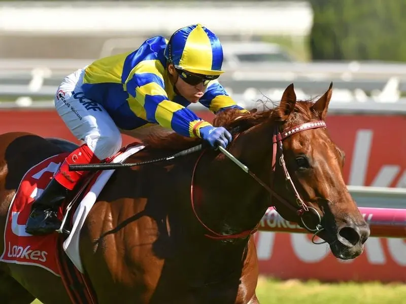 Magic Millions favourite Native Soldier has been ruled out of the $2 million race with a leg inury. native soldier