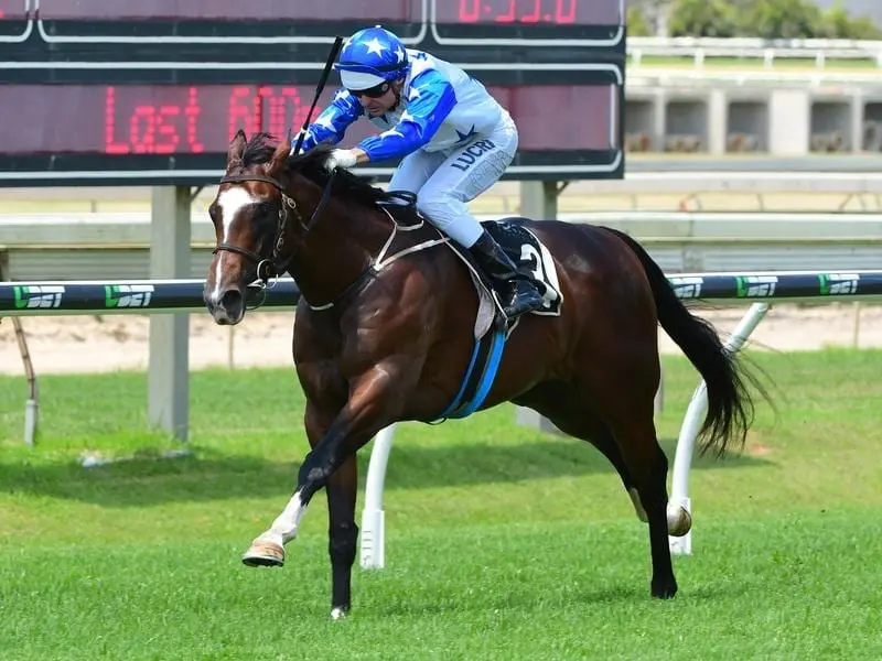 Neptune's Spear will run at Doomben before heading to New Zealand for the Karaka Million. neptune's spear
